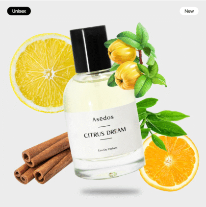 Louis Vuitton’s Imagination